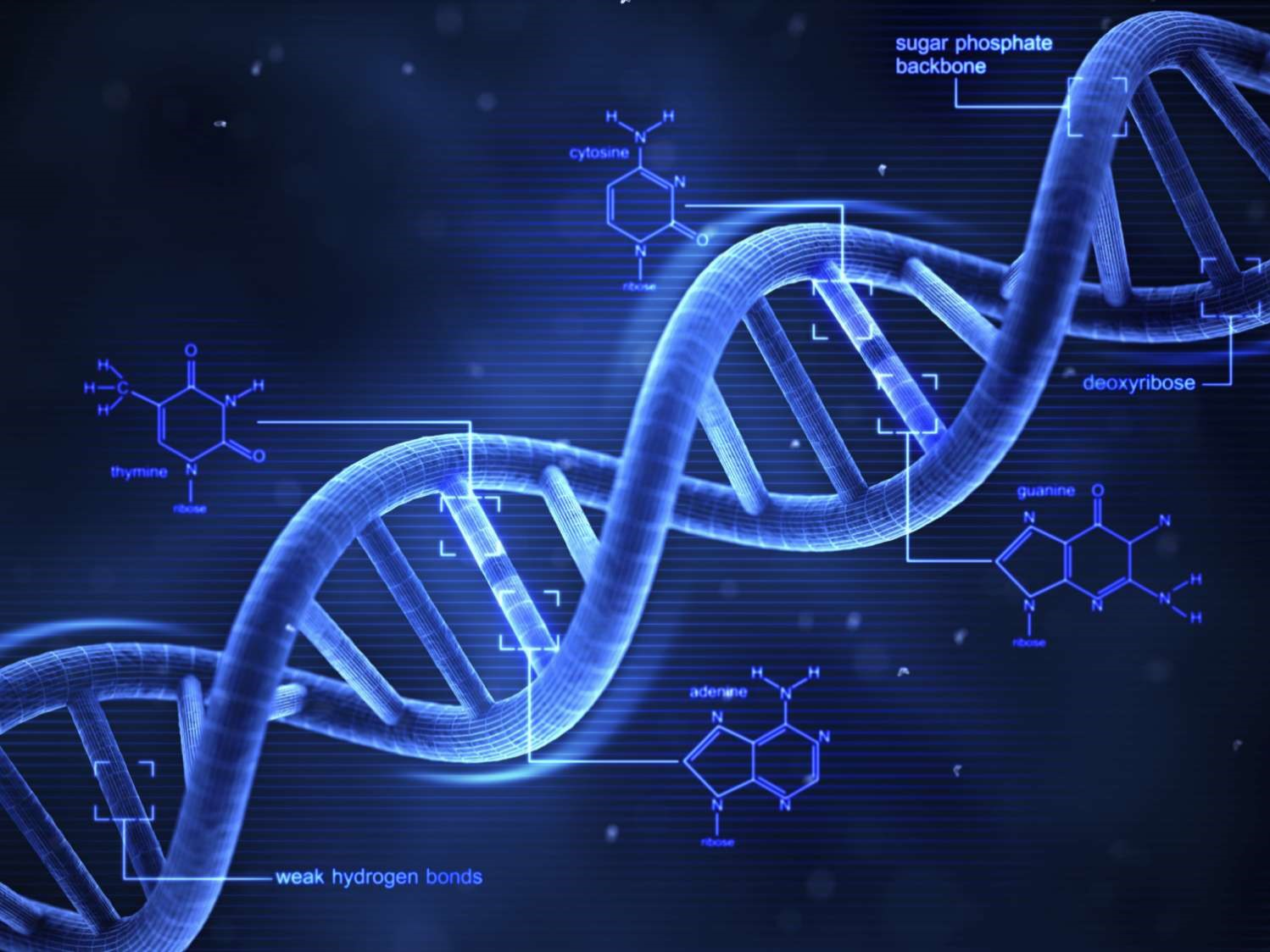 Immunotherapy: The 4th Pillar of Cancer Treatment