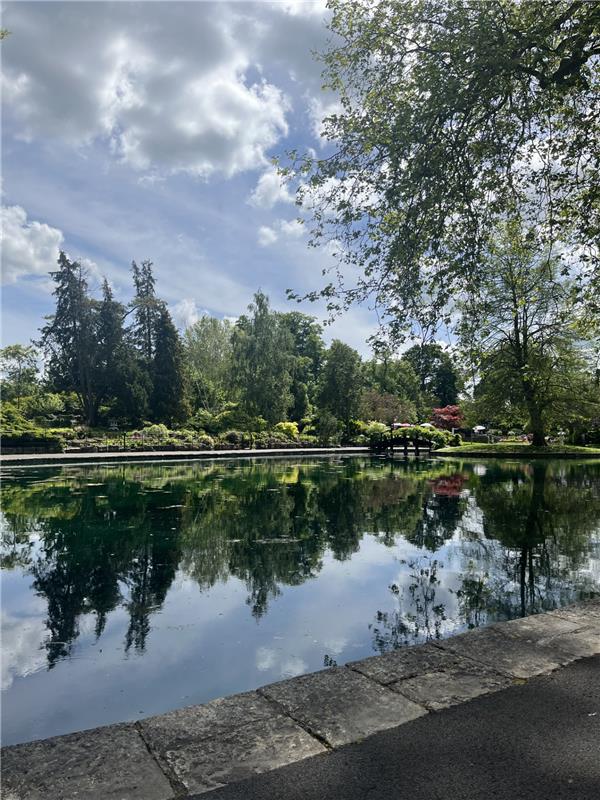 Top 5 Hangout Spots in Guildford