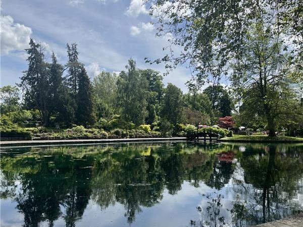 Top 5 Hangout Spots in&nbsp;Guildford